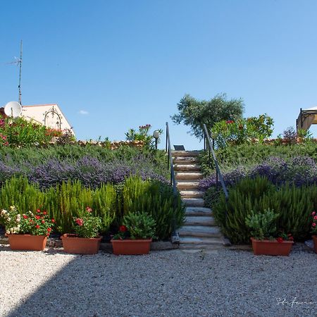 Villa Mascitti B&B Tortoreto Alto Exterior foto