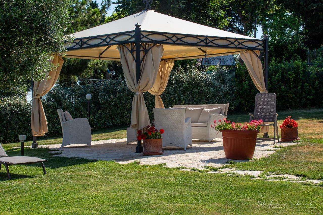 Villa Mascitti B&B Tortoreto Alto Exterior foto