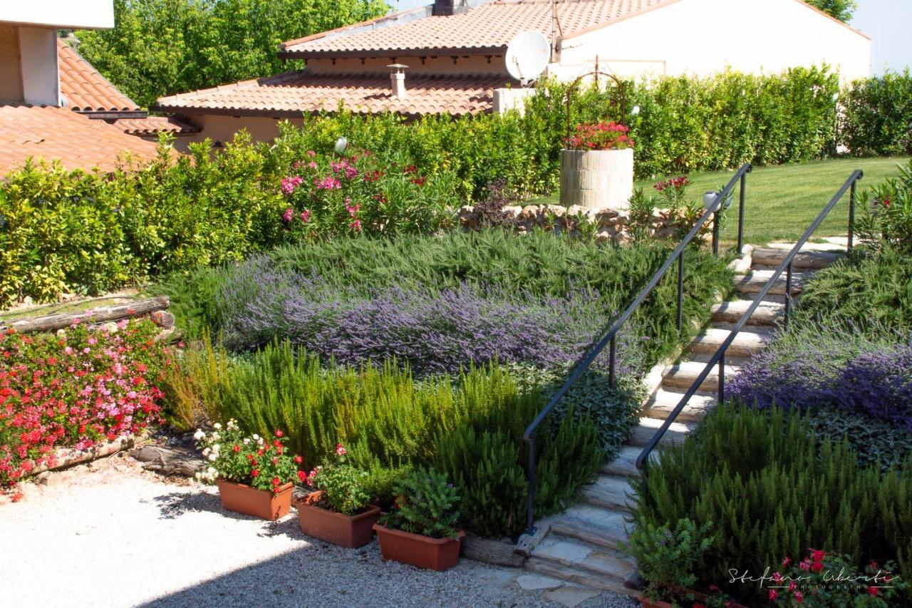 Villa Mascitti B&B Tortoreto Alto Exterior foto