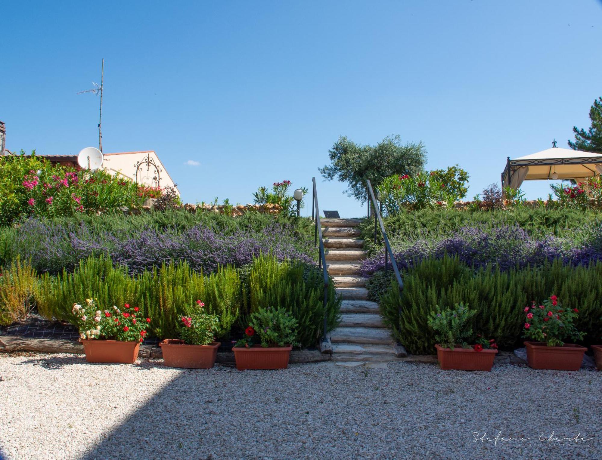 Villa Mascitti B&B Tortoreto Alto Exterior foto